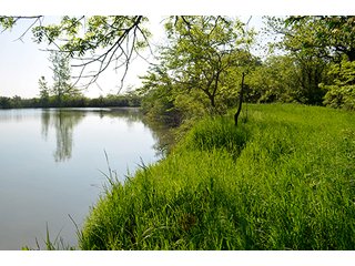 Property photo 92 - LAND AUCTION - 215+/- ACRES OFFERED IN 6 TRACTS IN VAN WERT COUNTY, OHIO